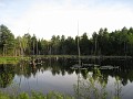 Tilton NH Rail Trail 2010 0420